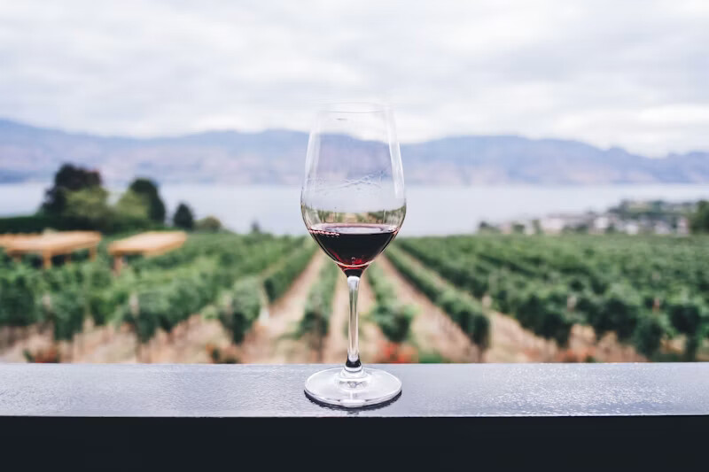 Durbanville Wine Valley