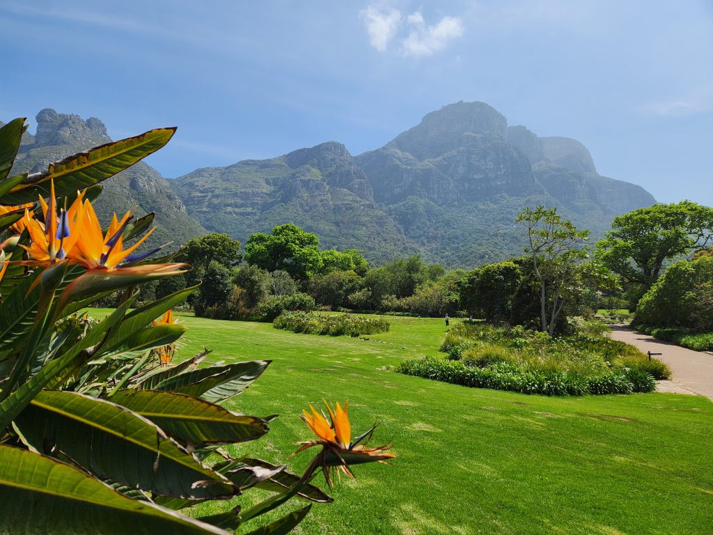 Kirstenbosch Gardens